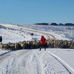 Reserva Natural Lago Fontana - Alto Río Senguer