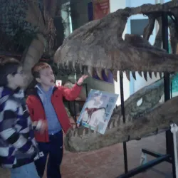 Museo de Ciencias Naturales - Bahia Blanca