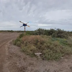 Reserva Natural Bahía Blanca - Bahia Blanca
