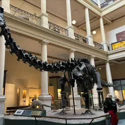 Museo de Ciencias Naturales - Balcarce