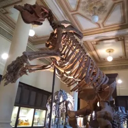 Museo de Ciencias Naturales - Balcarce