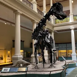 Museo de Ciencias Naturales - Balcarce