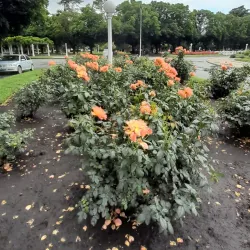 Parque Municipal Plaza Libertad - Balcarce