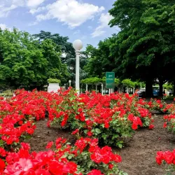Parque Municipal Plaza Libertad - Balcarce