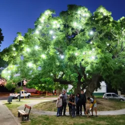 Plaza San Martín - Balcarce