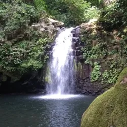 Reserva Natural Municipal - Benito Juarez