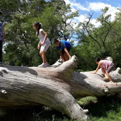 Parque Pereyra Iraola - Berazategui