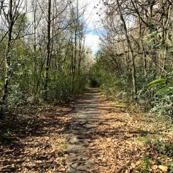 Parque Pereyra Iraola - Berazategui