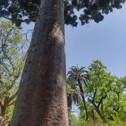 Parque Pereyra Iraola - Berazategui