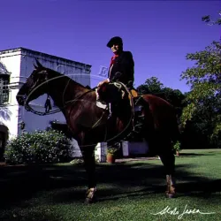 Estancia La Porteña - Bragado