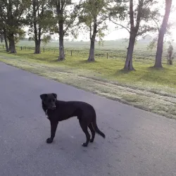 Monumento a la Tradición - Bragado