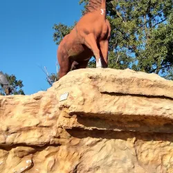 Monumento a la Tradición - Bragado