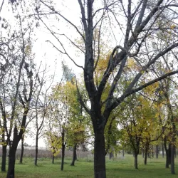 Monumento a la Tradición - Bragado