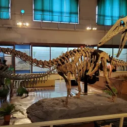 Museo de Ciencias Naturales - Bragado