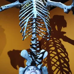 Museo de Ciencias Naturales - Bragado