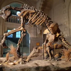 Museo de Ciencias Naturales - Bragado