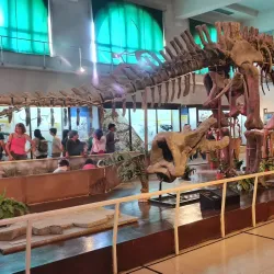 Museo de Ciencias Naturales - Bragado