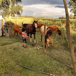 Museo Histórico Municipal de Bragado - Bragado