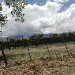 Cascadas de las Conchas (Waterfalls of the Shells) - Cafayate