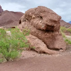 Quebrada de las Conchas (Gorge of Shells) - Cafayate