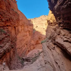 Quebrada de las Conchas (Gorge of Shells) - Cafayate