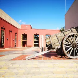 Ruta del Vino (Wine Route) - Cafayate