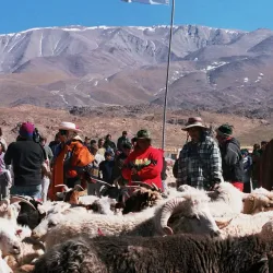 Laguna Blanca - Catamarca