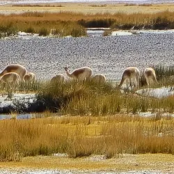 Los Seismiles - Catamarca