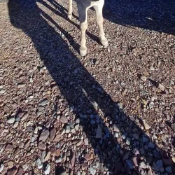 Los Seismiles - Catamarca