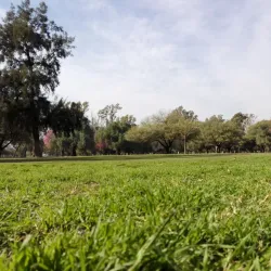 Parque Adán Quiroga - Catamarca