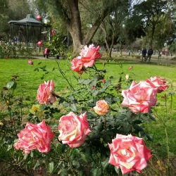 Parque Adán Quiroga - Catamarca