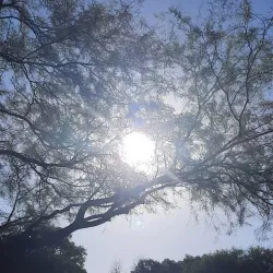 Parque Adán Quiroga - Catamarca