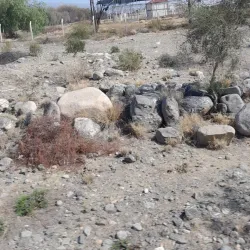 Pomán Valley - Catamarca