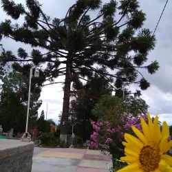 Pomán Valley - Catamarca