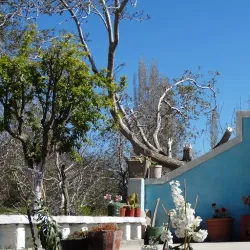 Pomán Valley - Catamarca