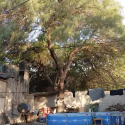 Pomán Valley - Catamarca