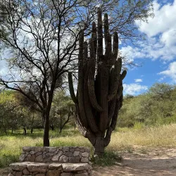 Ruins of Shincal de Quimivil - Catamarca
