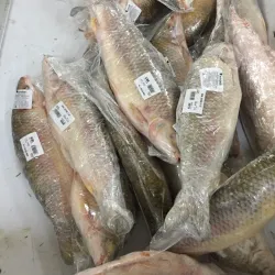 Mirador de la Costa - Comodoro Rivadavia