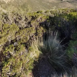 Parque Eólico Comodoro Rivadavia - Comodoro Rivadavia