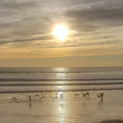 Rada Tilly Beach - Comodoro Rivadavia
