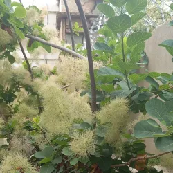 Cerro de las Rosas - Cordoba