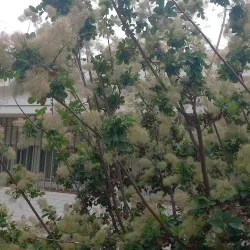 Cerro de las Rosas - Cordoba