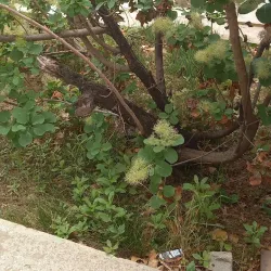 Cerro de las Rosas - Cordoba