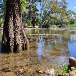 Parque Sarmiento - Cordoba