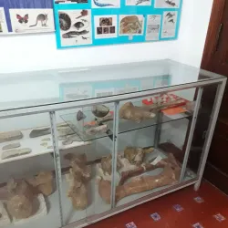 Museo Carlos Ameghino - Cutral-Có