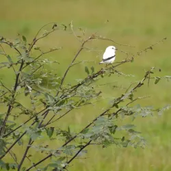 Reserva Natural La Rinconada - Cutral-Có