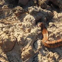 Reserva Natural La Rinconada - Cutral-Có