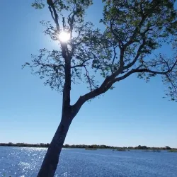 Reserva Natural La Rinconada - Cutral-Có