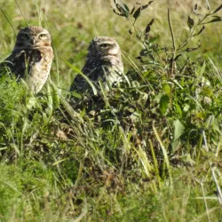Reserva Natural La Rinconada - Cutral-Có