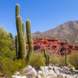 Cuesta de Miranda - La Rioja